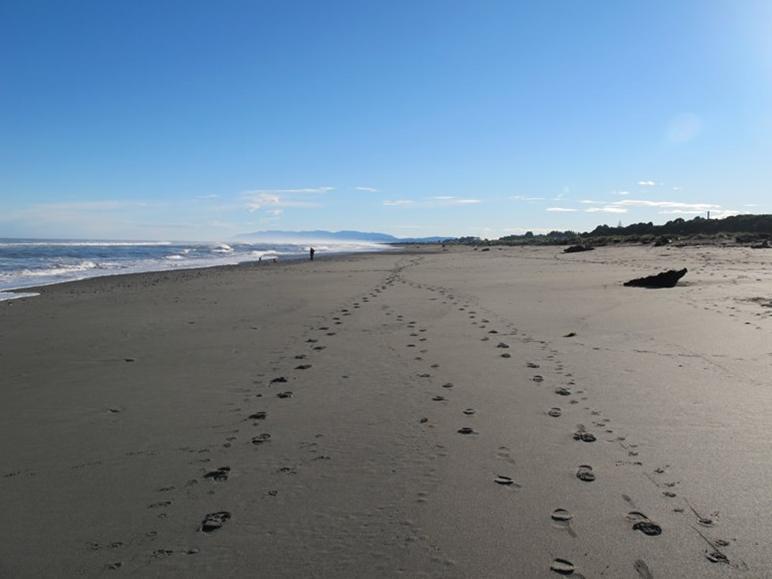 Shining Star Beachfront Accommodation Hokitika Exterior foto
